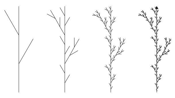 Plantes fractales